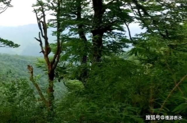 翡翠福瓜避纹雕是不是不好?-解答疑问,分享知识
